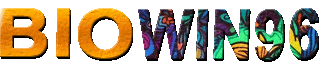 Biowin96